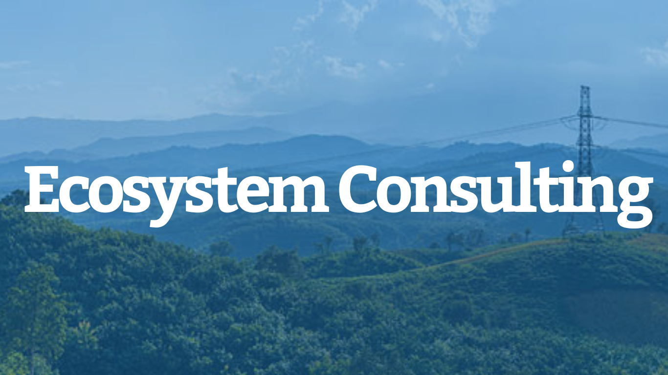 Ecosystem Consulting